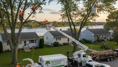 Professional tree removal service in Buffalo NY safely clearing trees for residential property