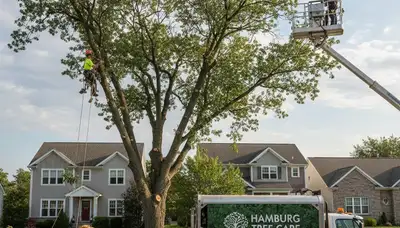 Professional tree removal service in Buffalo NY by expert arborists | TreeTrimmingBuffaloNY